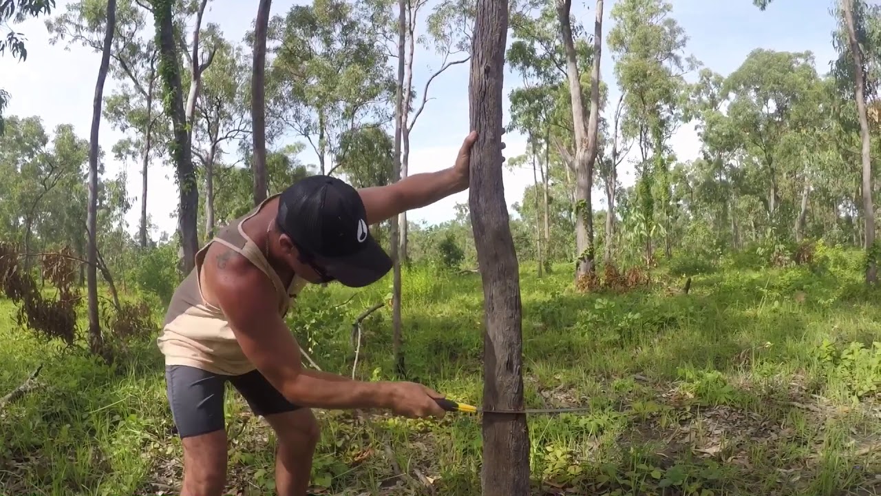 Australian Didgeridoo Making