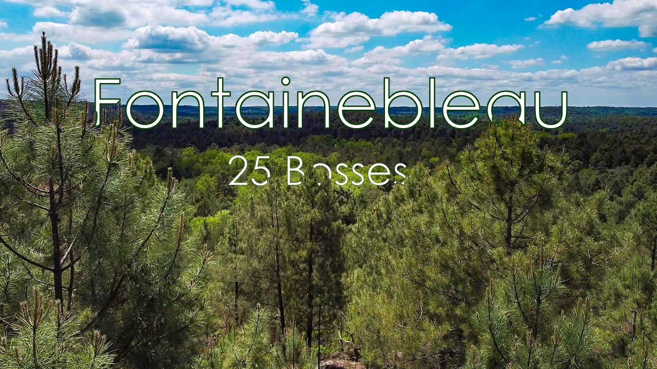 Fontainebleau, Les 25 bosses, Vues du Ciel. Drone Cinematic