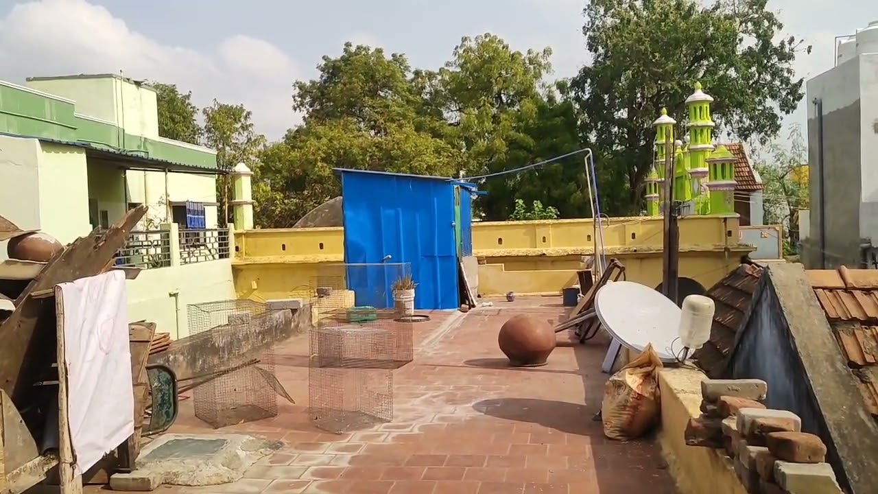 புறாவிற்கு றெக்கை அவுத்து விட்டாச்சு பகுதி 1 || Pigeons Tape Release part 1🕊️✨
