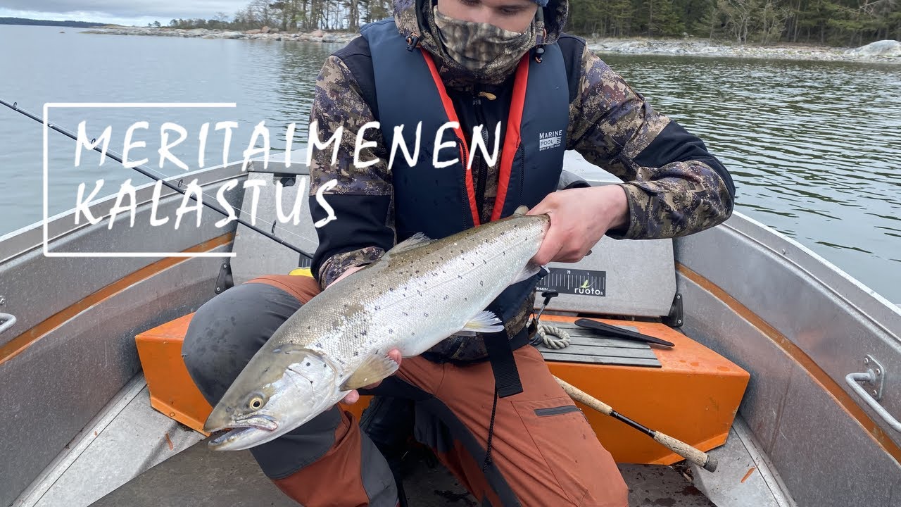 MERITAIMEN REISSU || JÄÄTÄVÄ TAIMEN!!