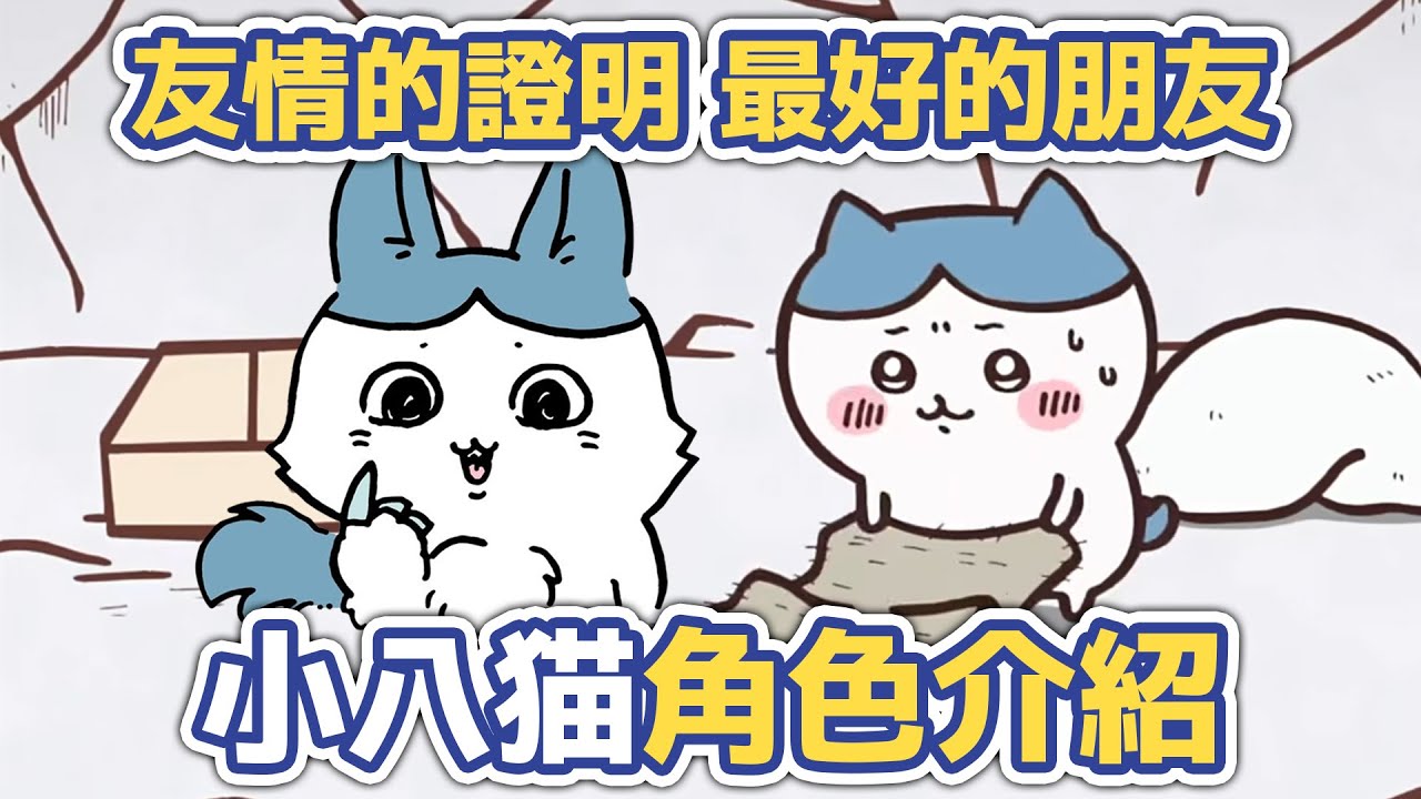 【吉伊卡哇解說】友情的證明 最好的朋友！小八貓角色介紹！#chiikawa #ちいかわ #吉伊卡哇解說