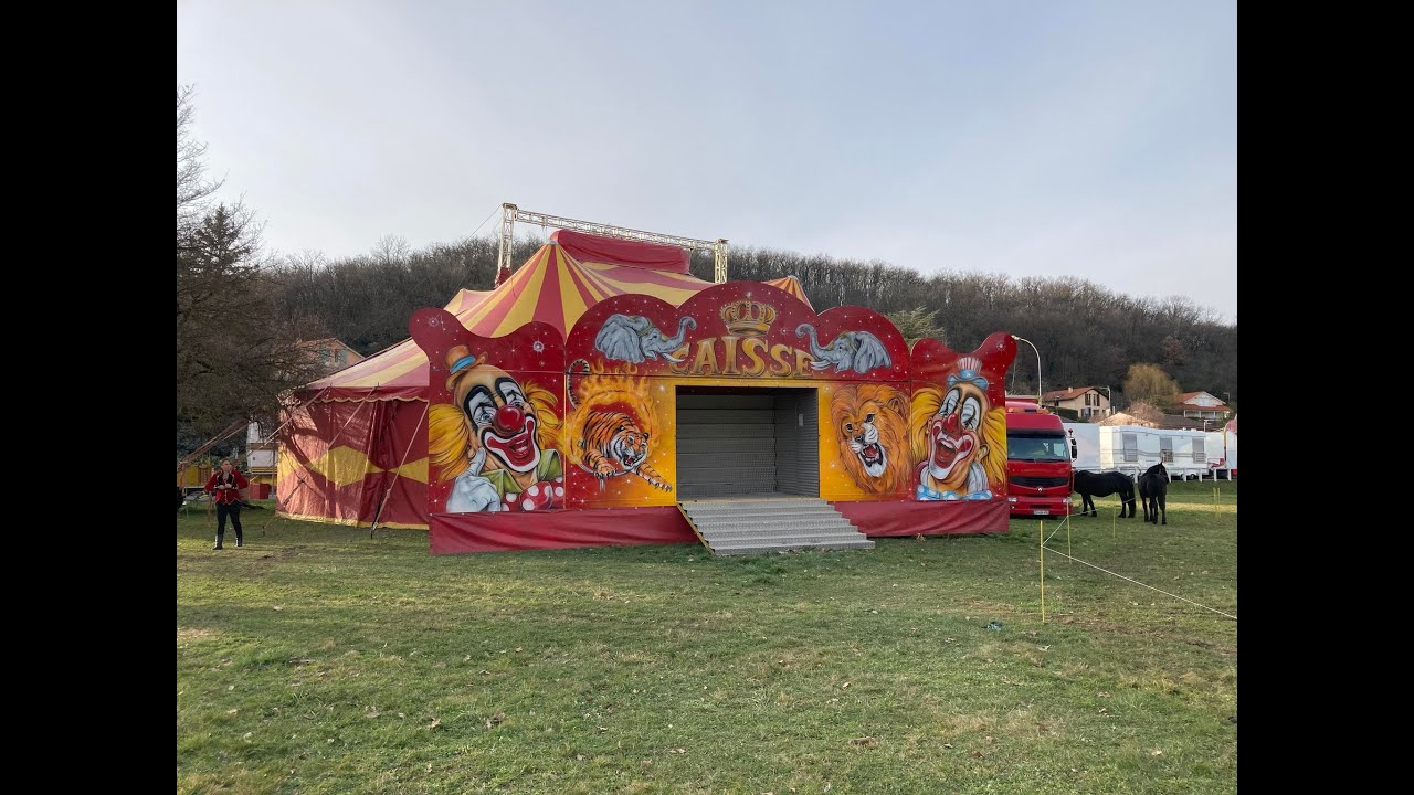 Cirque  Zavatta (  Brignais )