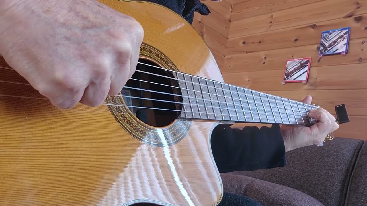 While My Guitar Gentry Weeps / The Beatles