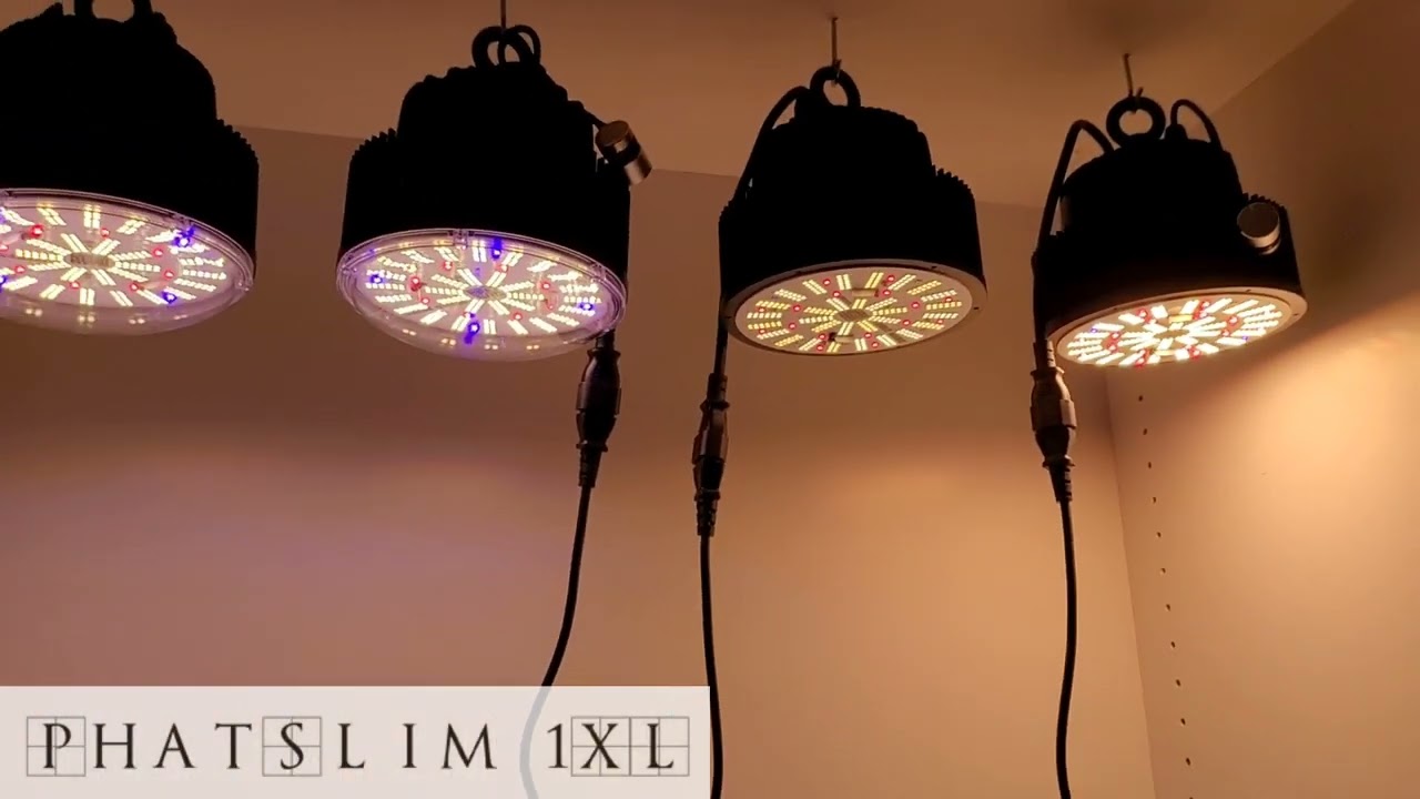 10 Light Giveaway - Winners Announcement  #OpticLEDGiveaway