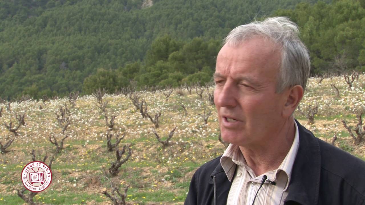 Balade oenotouristique - Beaumes de Venise - Terroirs et patrimoine : oeunotourisme