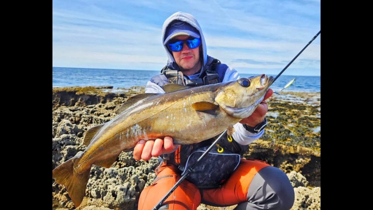 Spring time sessions pollock/bass (Yamaga blanks early 99ml)