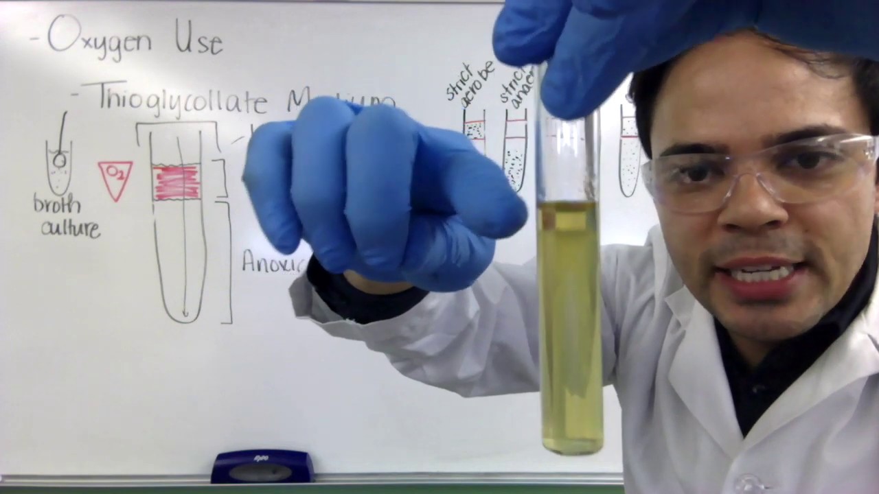 Testing for Oxygen Use with Thioglycollate Medium