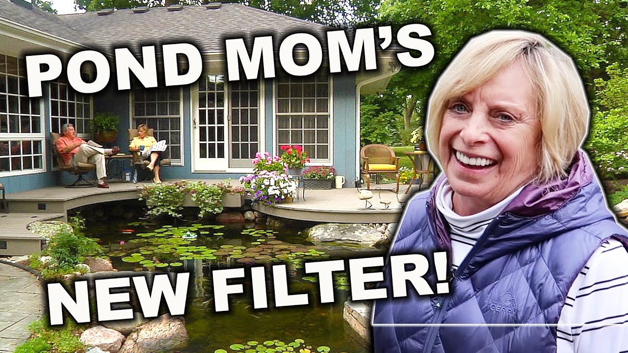 World's Best *POND* Filter - Wetland Filter for the Pond Mom