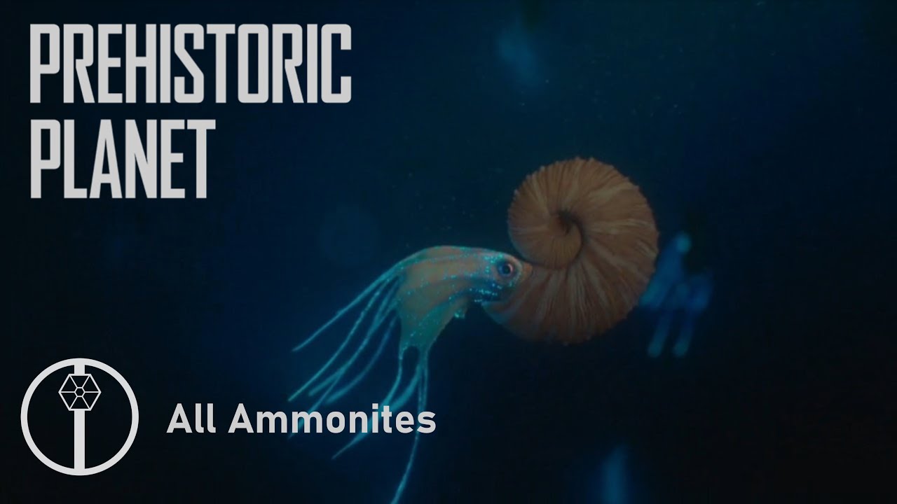 All Ammonites in Prehistoric Planet