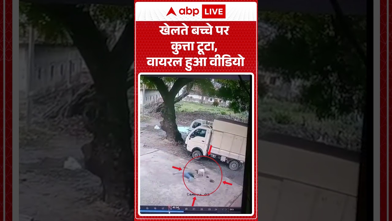 Viral News : खेलते बच्चे पर कुत्ता टूटा, वायरल हुआ वीडियो | #ytshorts #dogattack #dog #dogbitecases