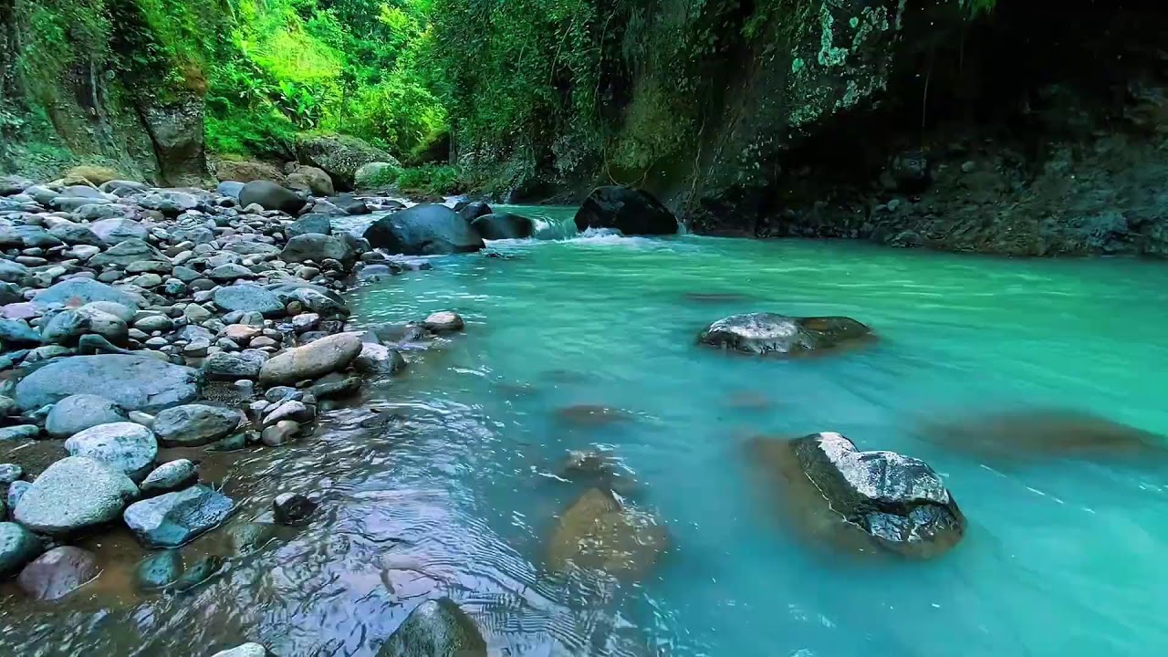 Mountain Stream Gentle Flow, Forest River Noise, Sleeping