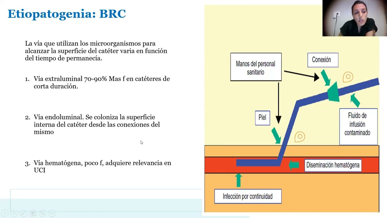 Teorico Microbiología II