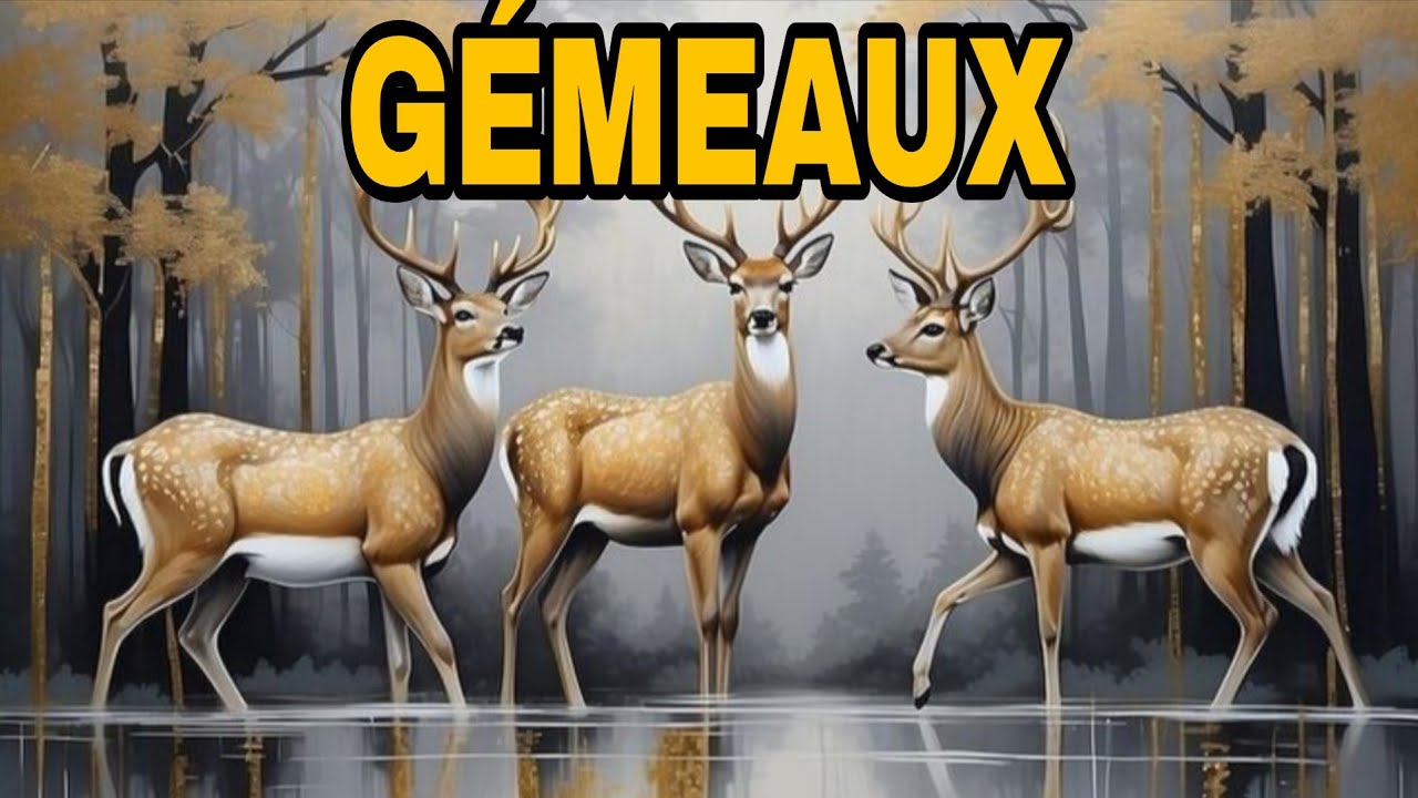 GEMEAUX💞 Une chance incroyable approche… 🥰et un cœur tombe sous votre charme🎉