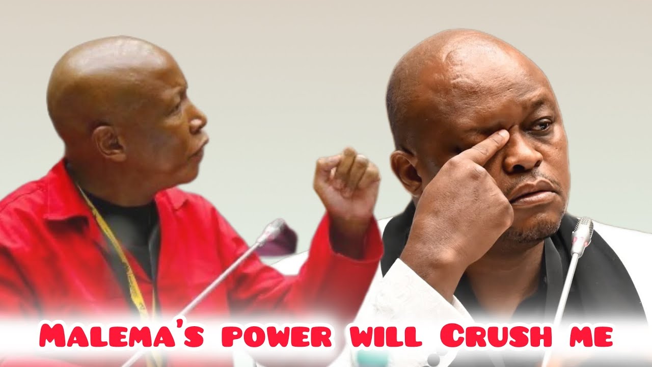 WATCH | Brown Mogotsi raises concern over MPs he says are ready to take him on