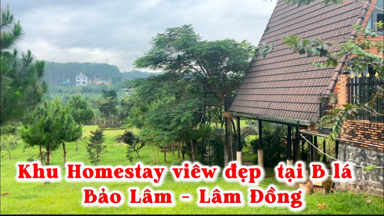 Cần bán khu homestay gần trung tâm Blá ,Bảo Lâm ,Lâm Đồng ,viêw đẹp,giáp suối ,sẳn thổ cư