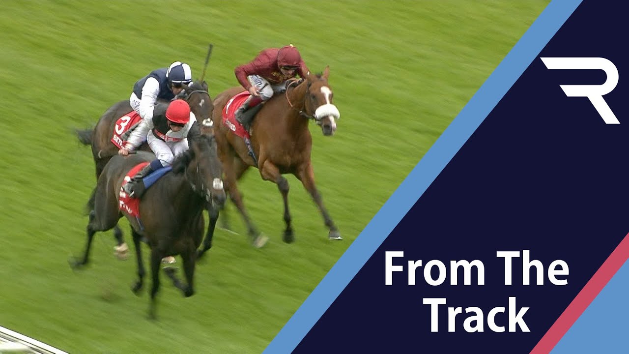GOLDEN HORN beats Jack Hobbs in a fantastic renewal of the Dante Stakes - what a classy performer!