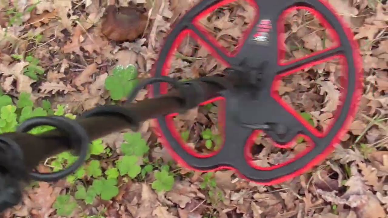ricerca dal vero nel bosco con PIRATE PHOENIX  metal detector per oro monete militaria relitti