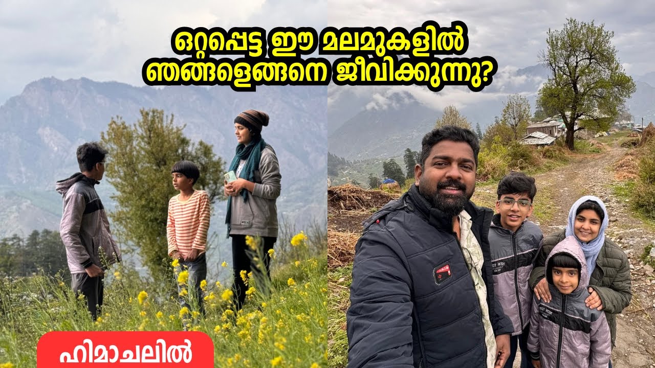 ഒറ്റപ്പെട്ട ഈ മലമുകളിലെ ഞങ്ങളുടെ ജീവിതം! Living in Palgi Mountain Top Village, Himachal Pradesh
