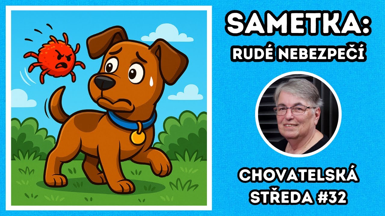 🕷️ SAMETKA: Rudé nebezpečí 🕷️ | Chovatelská středa #32