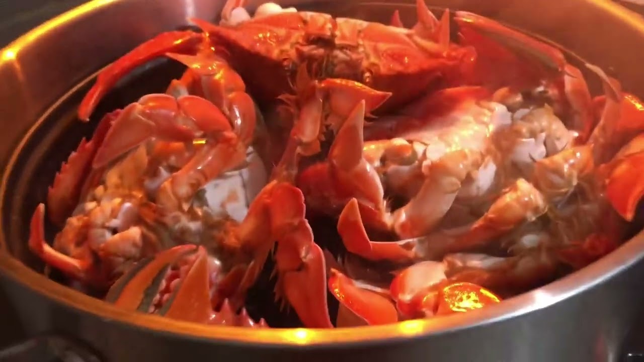 RANINA RANINA CRAB 🦀