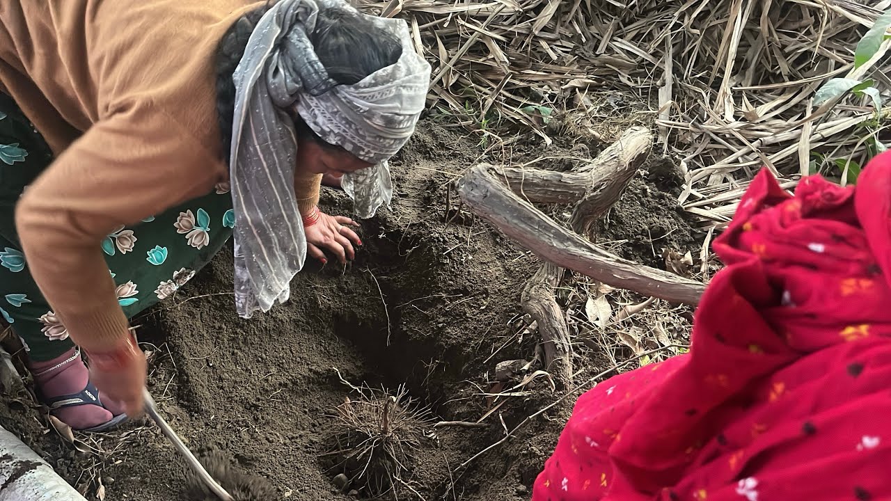 छुपा खजाना मिला 😱 मम्मी और चाची ने खोदकर निकाला 😱||Village Life Uttarakhand || Part 1