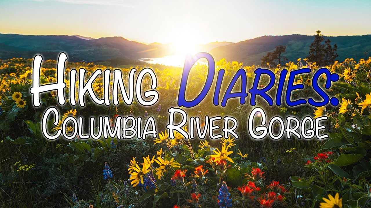 Hiking Diaries: Columbia River Gorge Wildflowers |Day One|