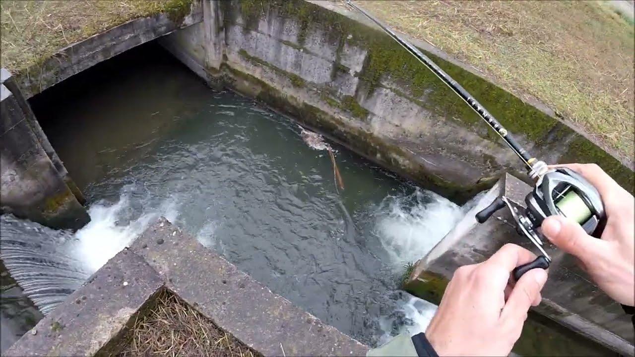 I PADRONI delle acque - FOSS FISHING