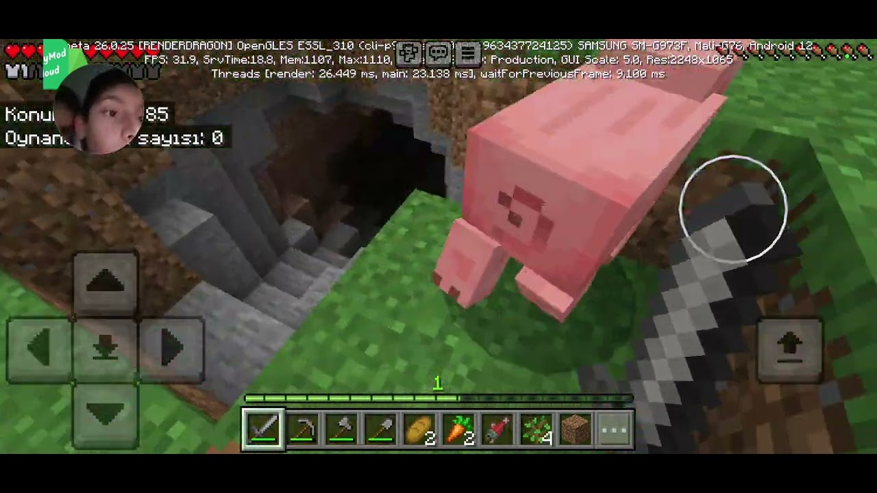 Minecraft'ta ölmemeye ve hasar yememeye çalış yoksa dayak yersin bölüm 1