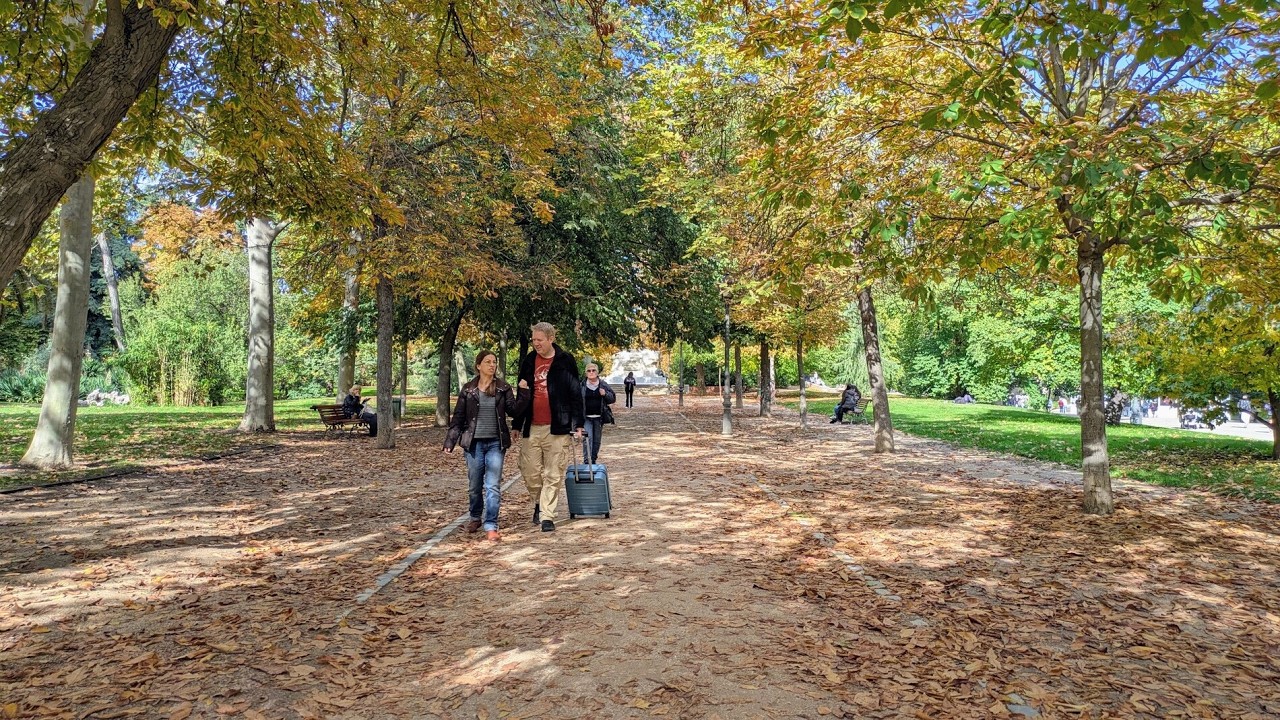🍂 Autumn Leaves in Madrid ☀️ Scenic Walk Through Fall Foliage