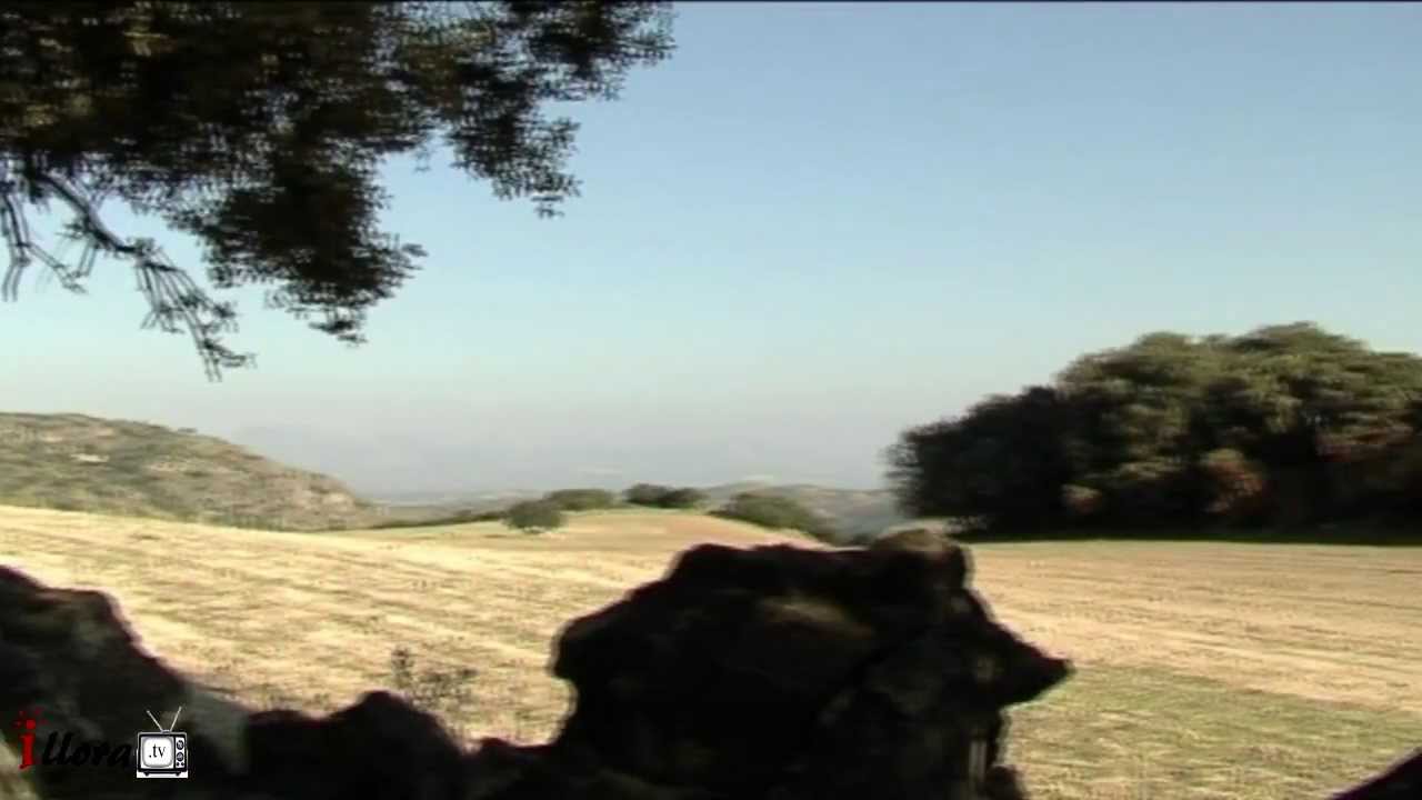 &Iacute;llora, un lugar con encanto