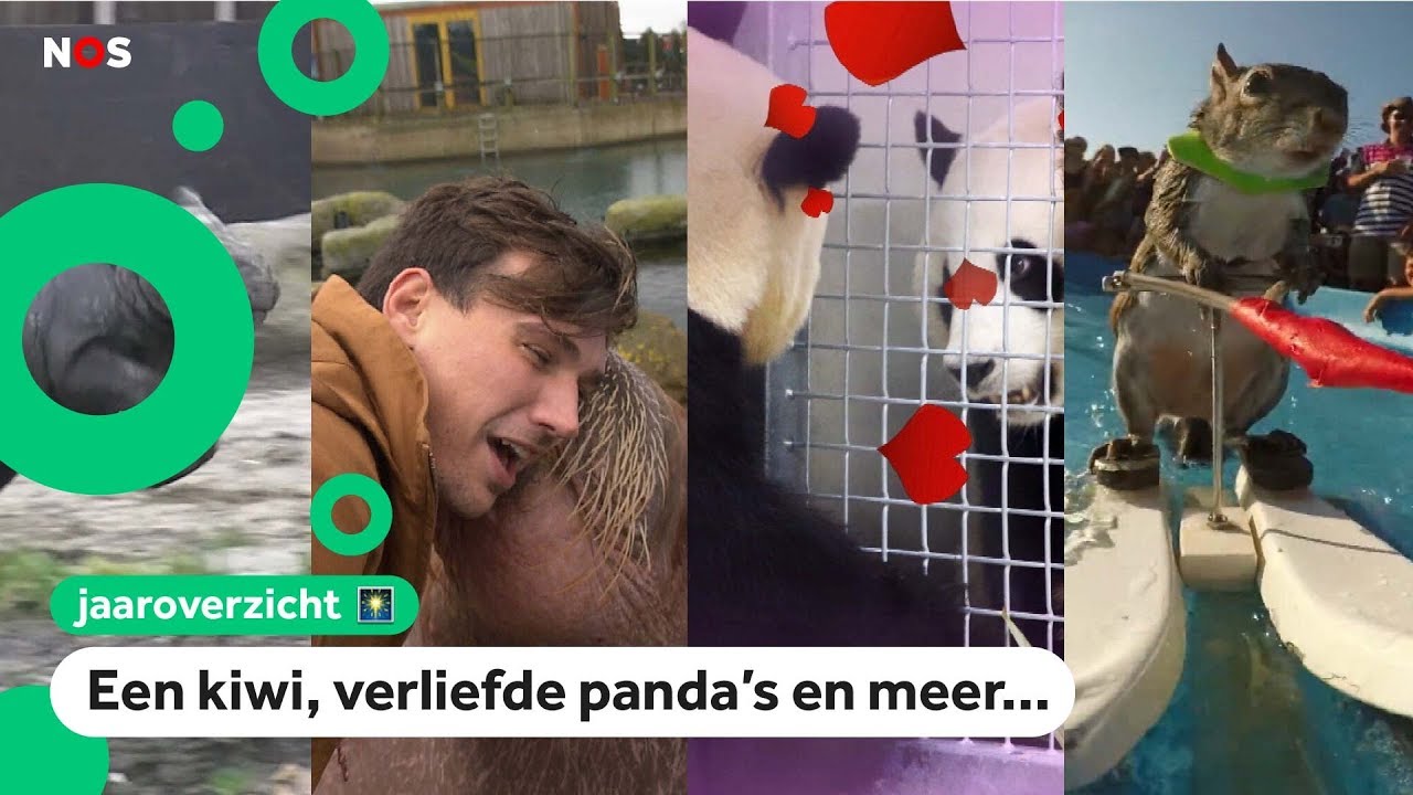 Dit is het dierennieuws uit 2018