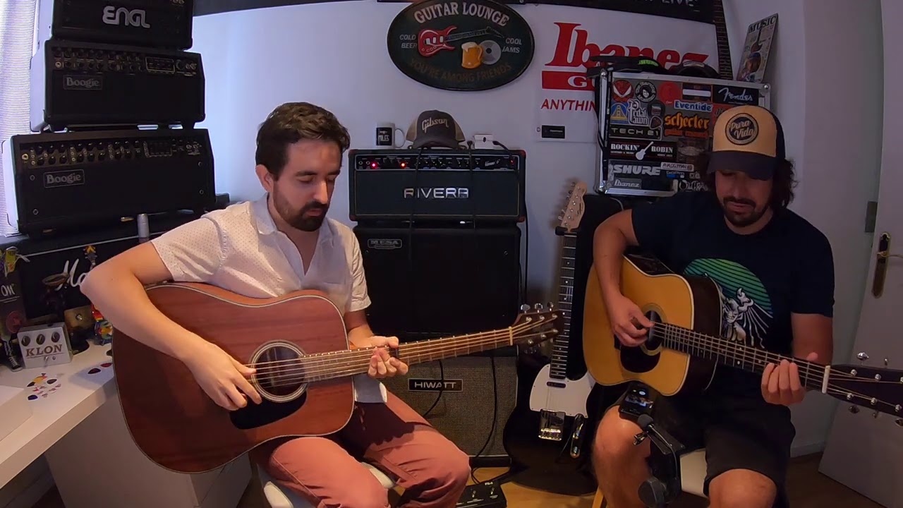 Acústicas: Martin D28 v/s Takamine DG