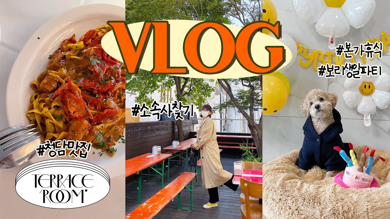 새로운 도약을 위해 맘 다잡는(?) VLOG (소속사찾기,구남친빵을찾으러가다,혼한강,본가에서 휴식하기,보리생파)