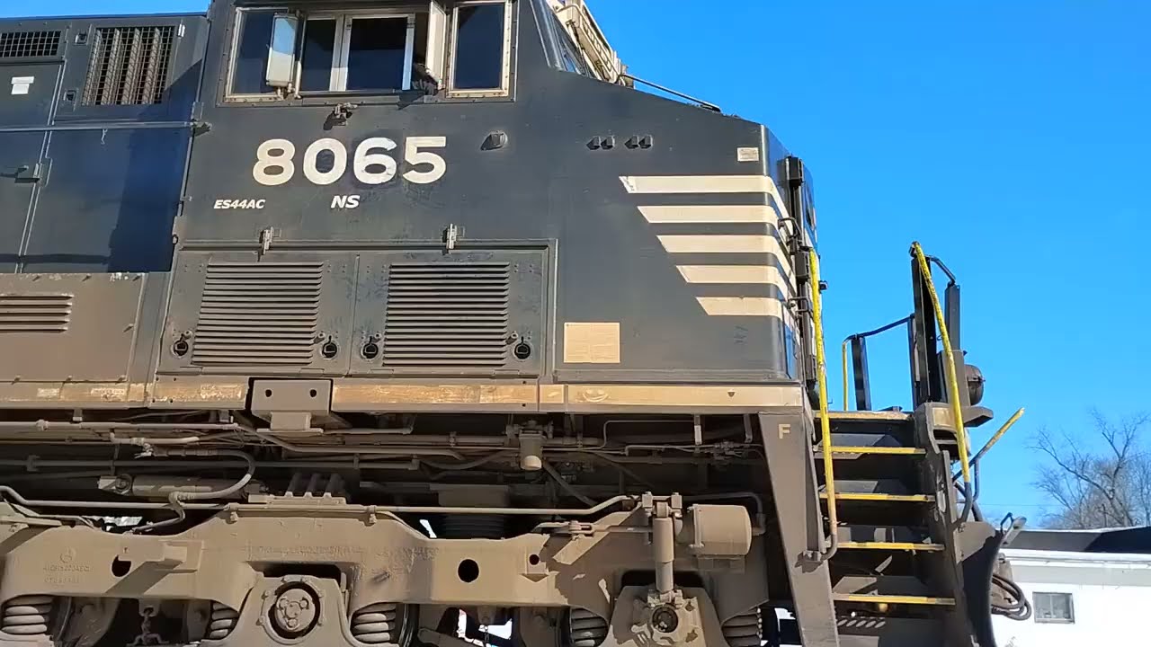 NS 8065 intermodal at train crossing