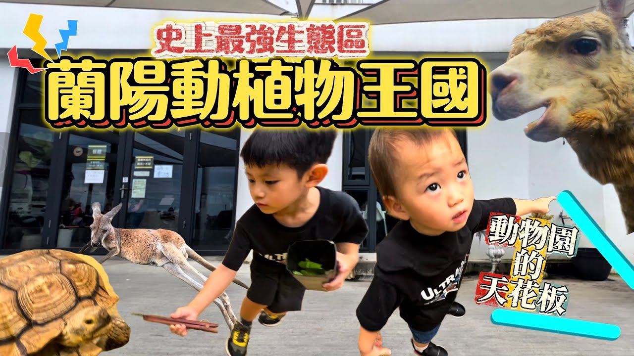 【宜蘭親子景點】蘭陽動植物王國一日遊｜夏天也能邊吹冷氣邊餵動物！#宜蘭親子景點 #蘭陽動植物王國 #親子一日遊 #夏天避暑景點  #七豆爸 #親子旅遊