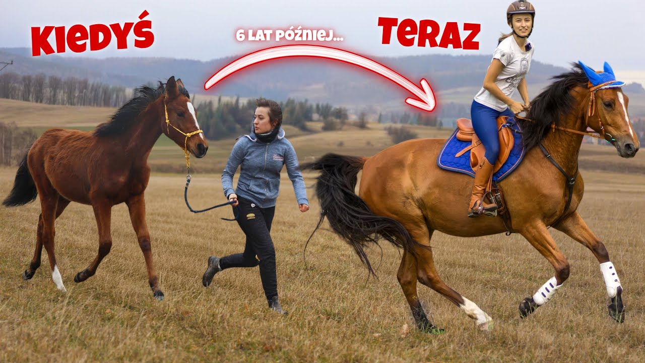 MAM NAJLEPSZEGO KONIA NA ŚWIECIE...