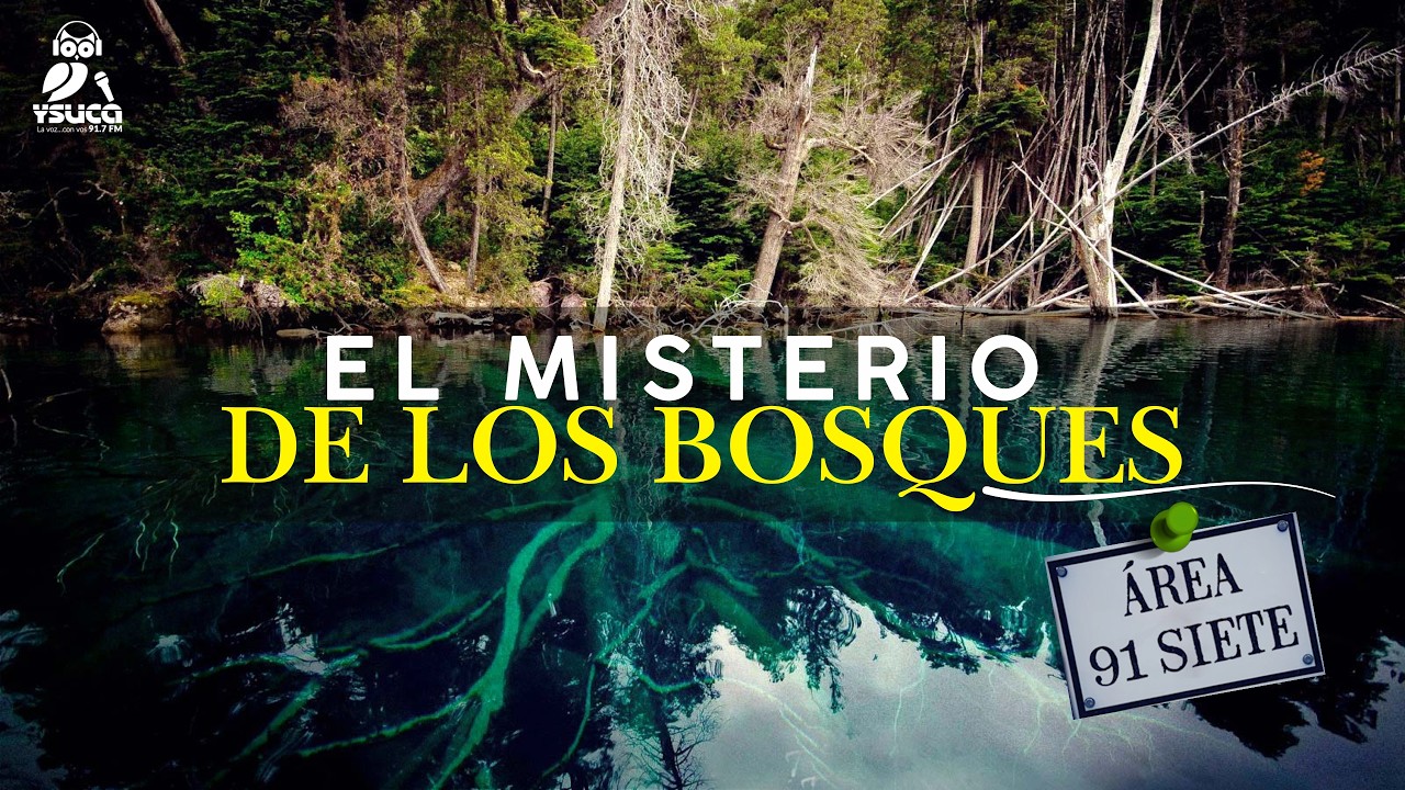 El misterio de los bosques