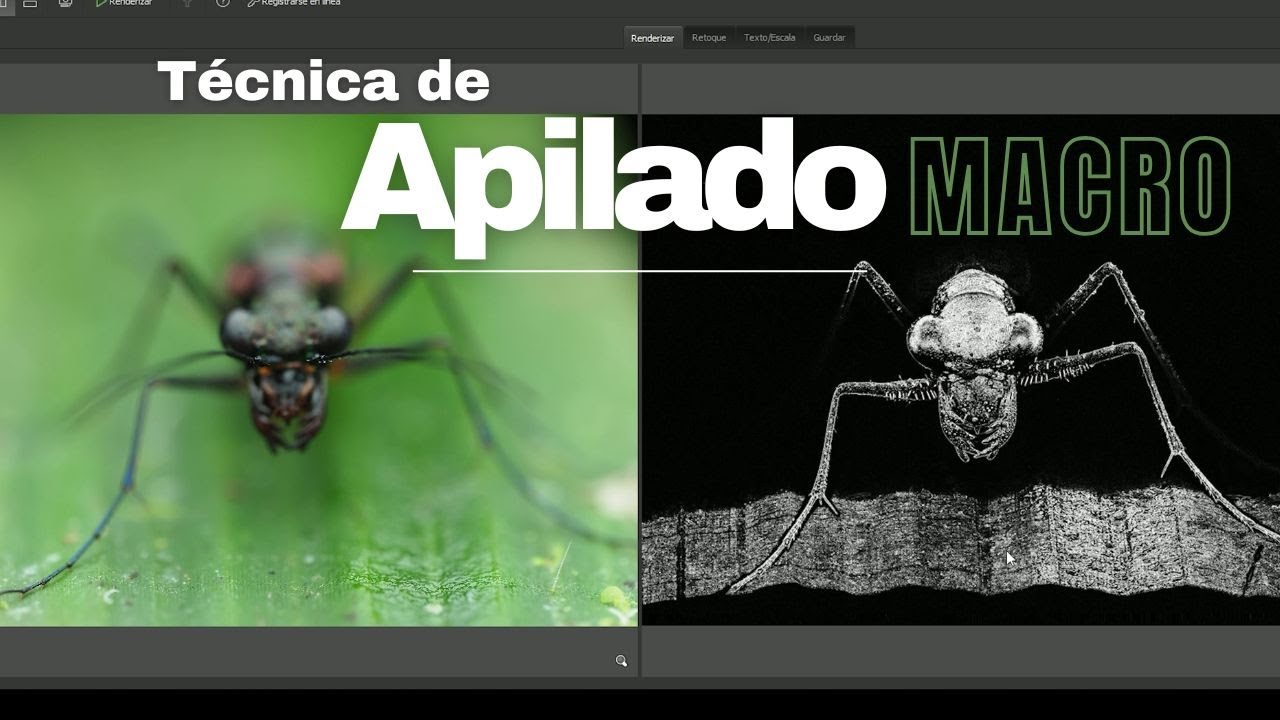 APILADO de fotos SÚPER MACRO 😨​📷​ Técnica para mayor enfoque