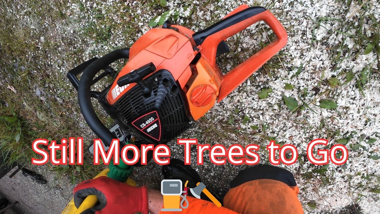 Clearing the View | Small Tree Felling With Echo CS-4920 & Tractor Grapple 🌲🪓