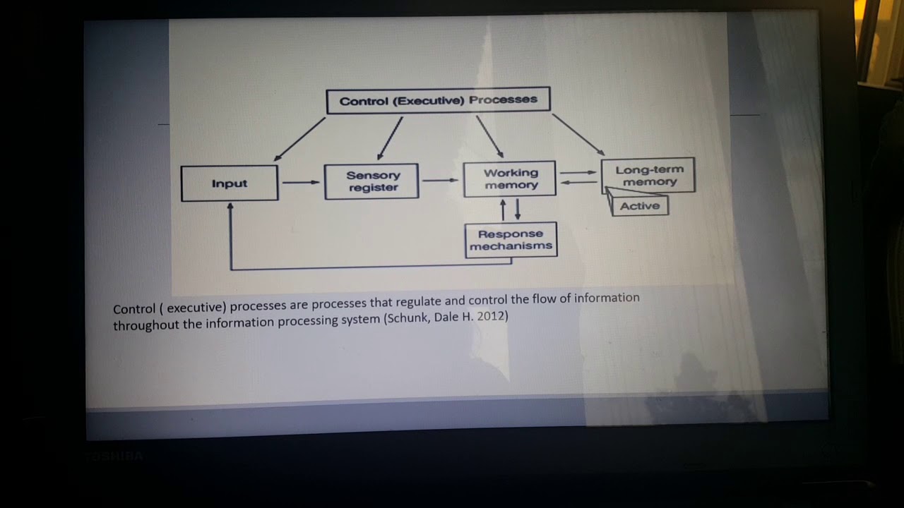 Information processing theory