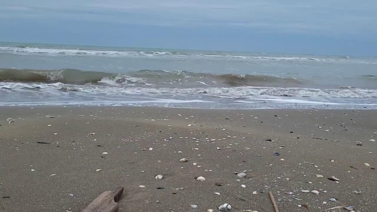 Live streaming di Respiro del Mare & Ocean Breath