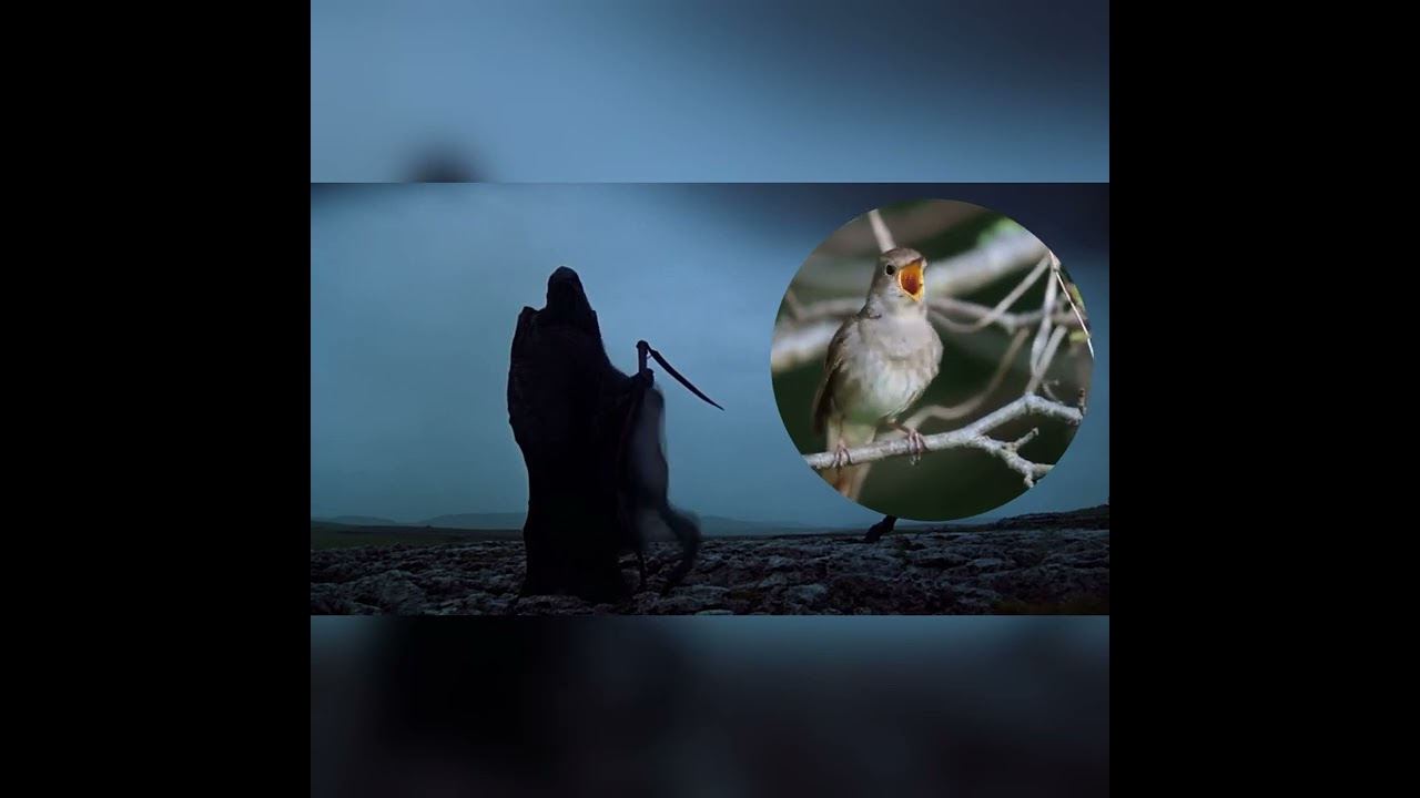 АЛЕКСАНДР ТКАЧ  -  ВОТ УМРУ Я...(НАРОДНАЯ)         #АЛЕКСАНДР_ТКАЧ#ВОТ_УМРУ_Я#РУССКАЯ_НАРОДНАЯ_ПЕСНЯ