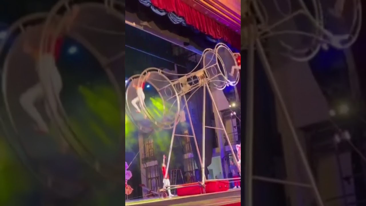 Bella's Circus Spectacle | A Marvelous Experience at the Vietnam Circus! #bella #kidsvlogs #circus