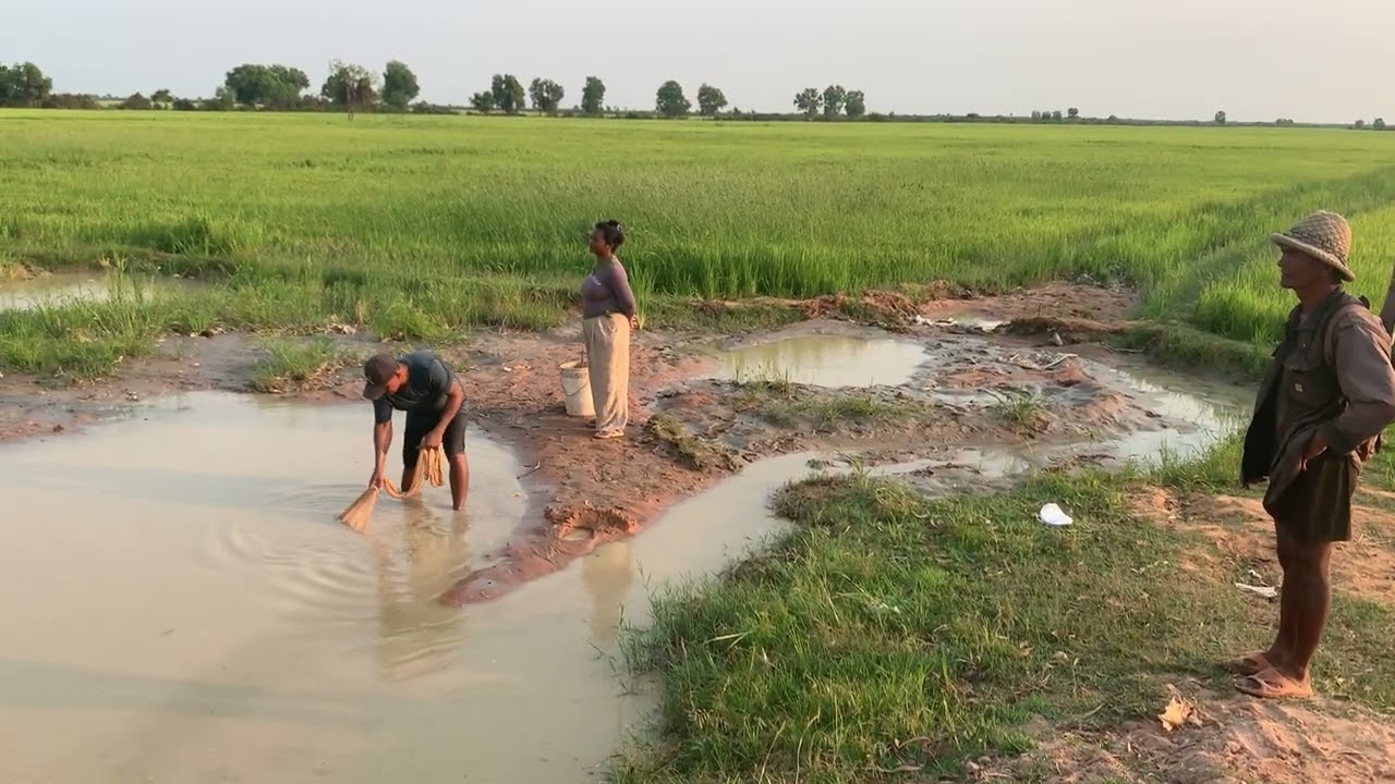 ទេសភាពស្រុកស្រែតាមភូមិ នាខែប្រាំង