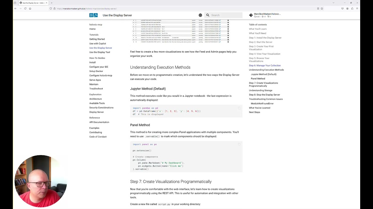 Display Server (HoloViz MCP)