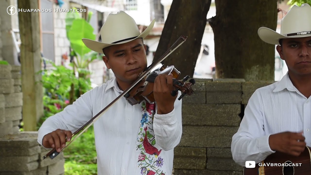 Feliz día del Músico!!! Con cariño el son huasteco La Cecilia por Huapangueros Infalibles