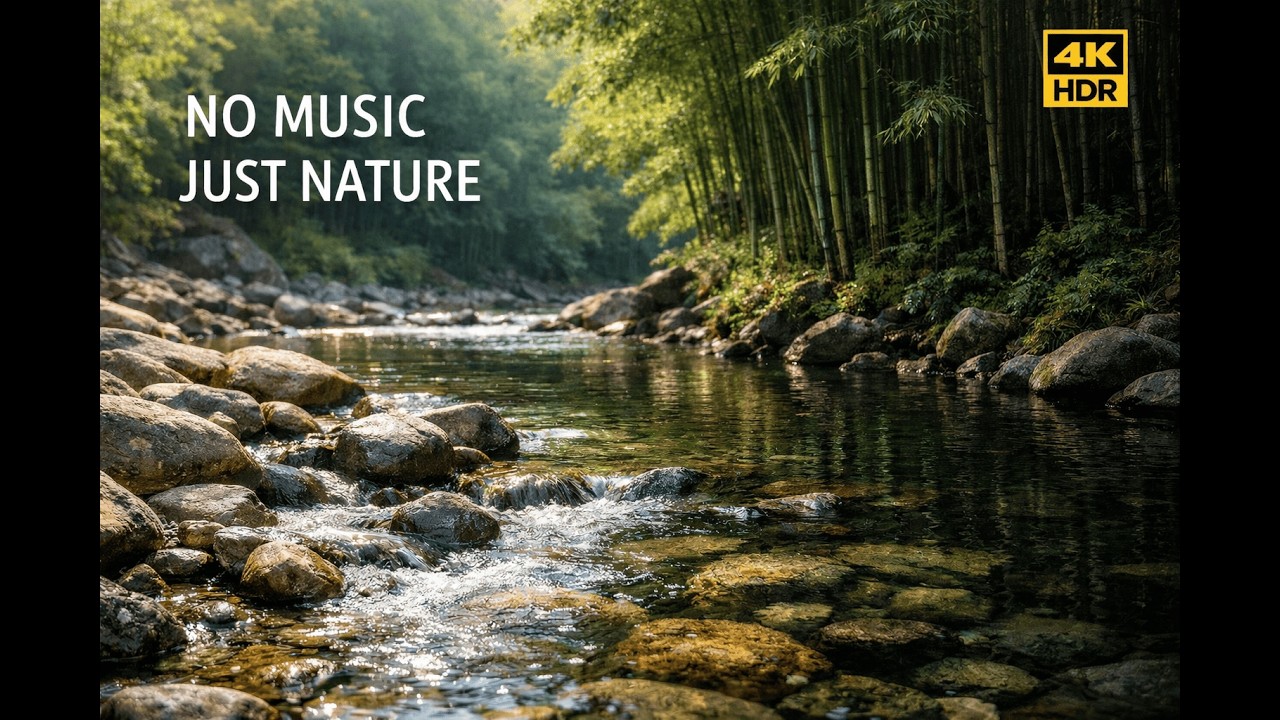 No Music, No Talking — Just Nature 🌿 Jiuxi Stream, Hangzhou China | 4K HDR Relaxing Walk