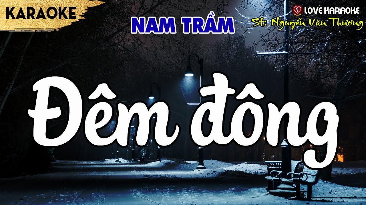 Karaoke Đêm Đông Tone Nam Trầm | Love Karaoke