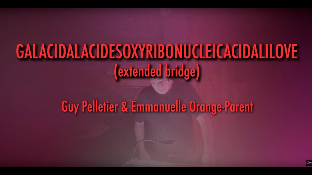 250301 Galacidalacidesoxyribonucleicacidalilove (extended bridge) (Live at BruitRose)