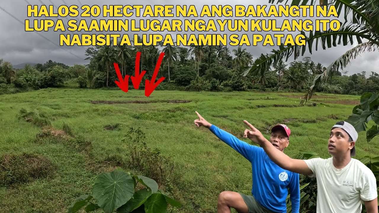 NAKAKAMIS NUN PANAHON NA MAGANDANG TUBIGAN NGAYUN HALOS GUBAT NA ANG TUBIGAN SAAMIN LUGAR